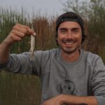 carp_journeys
