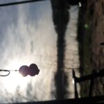 @happytown_carp