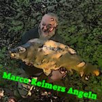 Klotzfisch