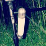 SebastianFishing